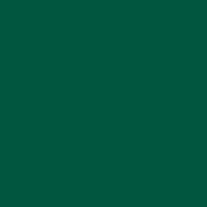 0806 CHALKBOARD GREEN - Krylon ®