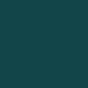 2324 HUNTER GREEN - Krylon ® Fusion for Plastic ®